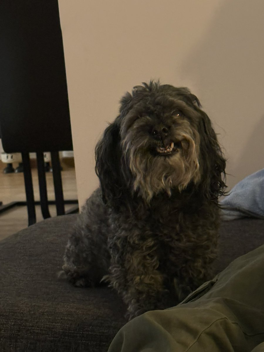 Annis 🩵🌟🌟 tweet media