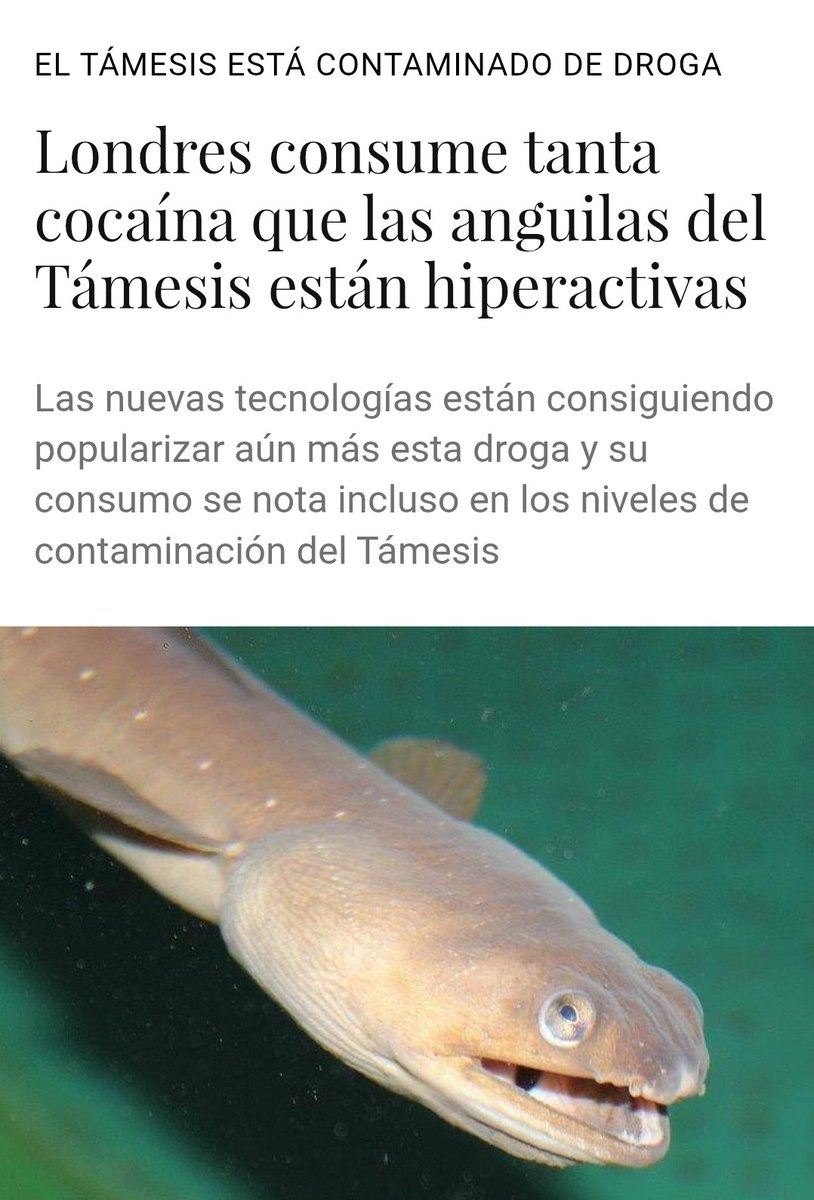 Logo~Side tweet media