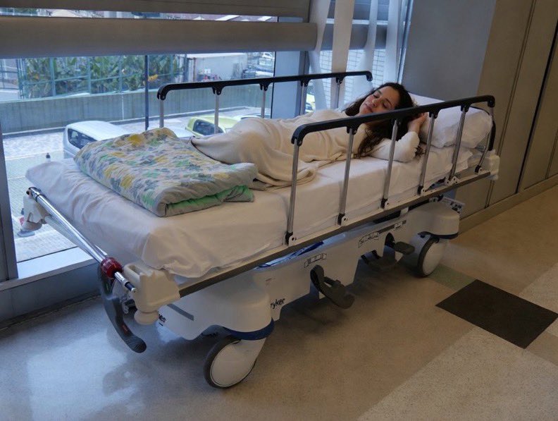 Wolf 🐺 tweet media