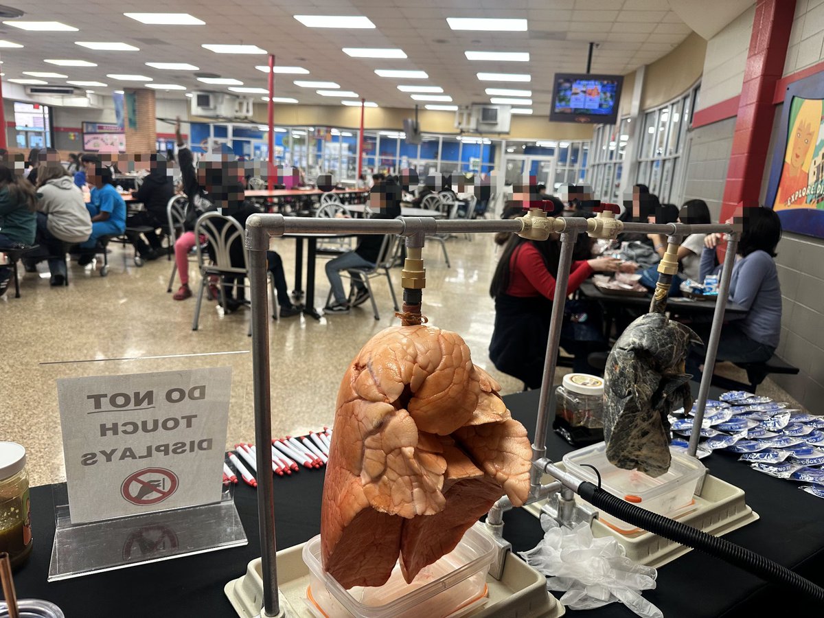 Luvelyo's tweet photo. Students at @Drew_AISD saw the difference between smoker’s lungs versus healthy lungs during #KickTobaccoandVaping month. The choice is clear. Choose to have healthy lungs and say no to all forms of tobacco. @UTMDAnderson #EndCancer https://t.co/J2bB5gff4K
