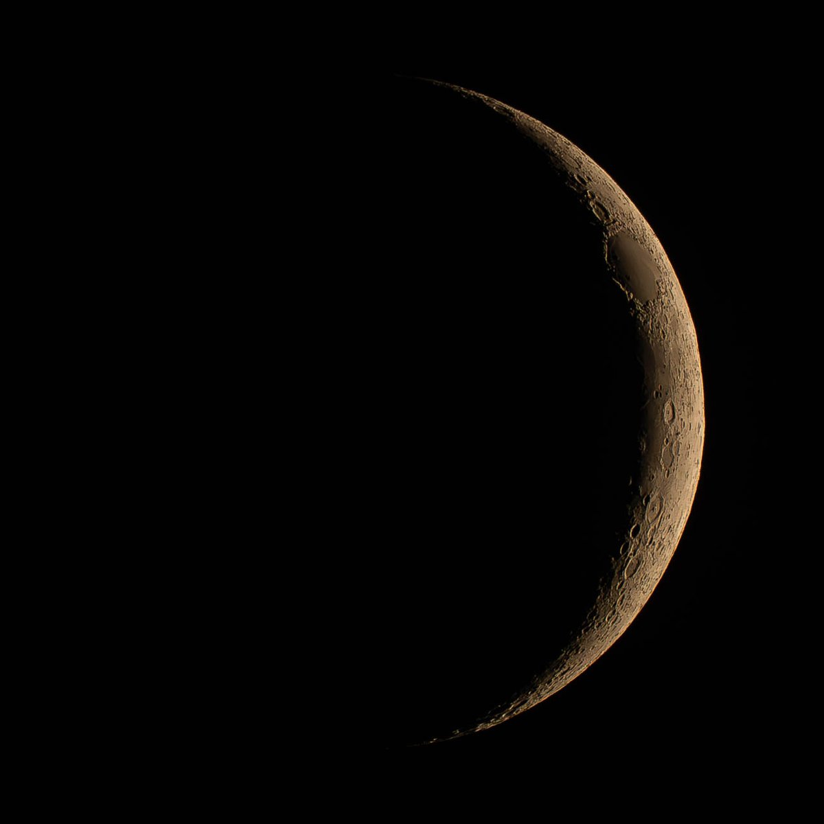 Peter Herth tweet media