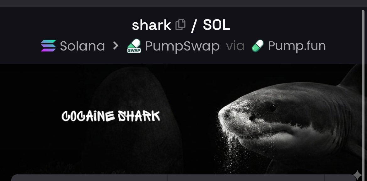 momoneymonke tweet media