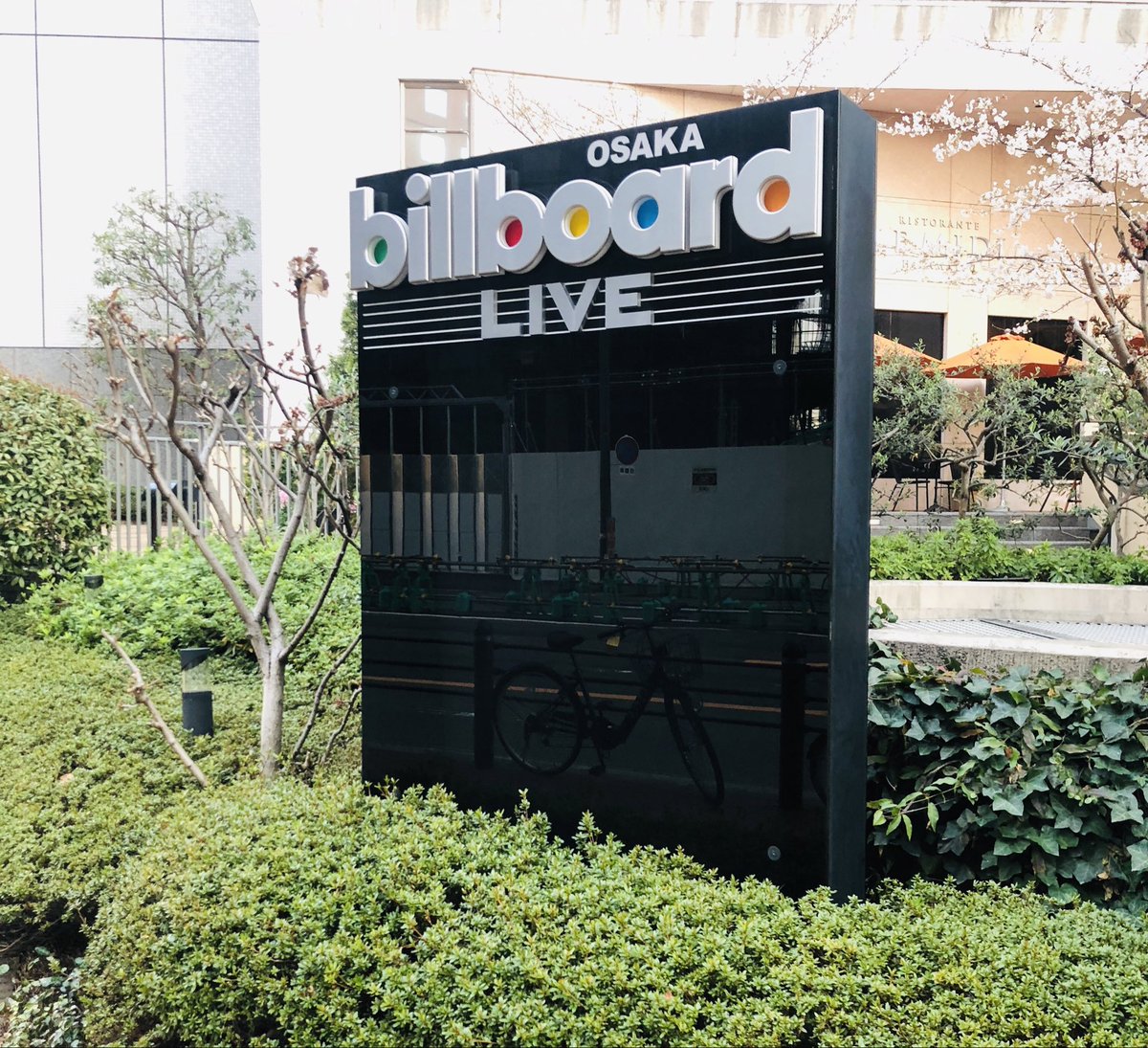 角松敏生  情報局 tweet media