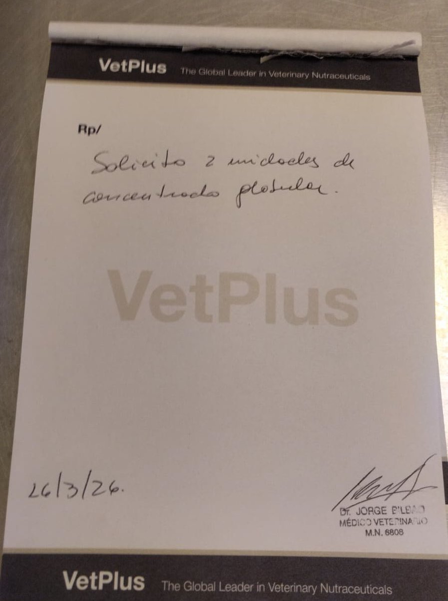 Proyecto Galgo Arg 🐬Ⓥ tweet media