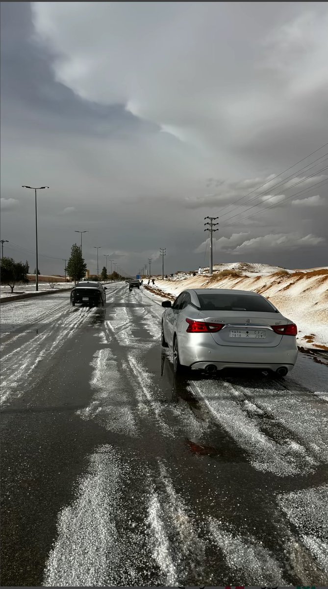 AlShamal Pinterest tweet media