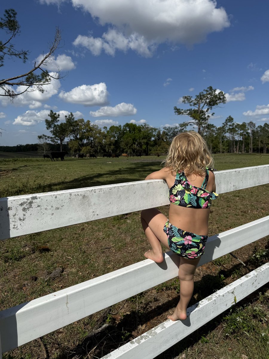 Amy 🌱✨🌸 tweet media