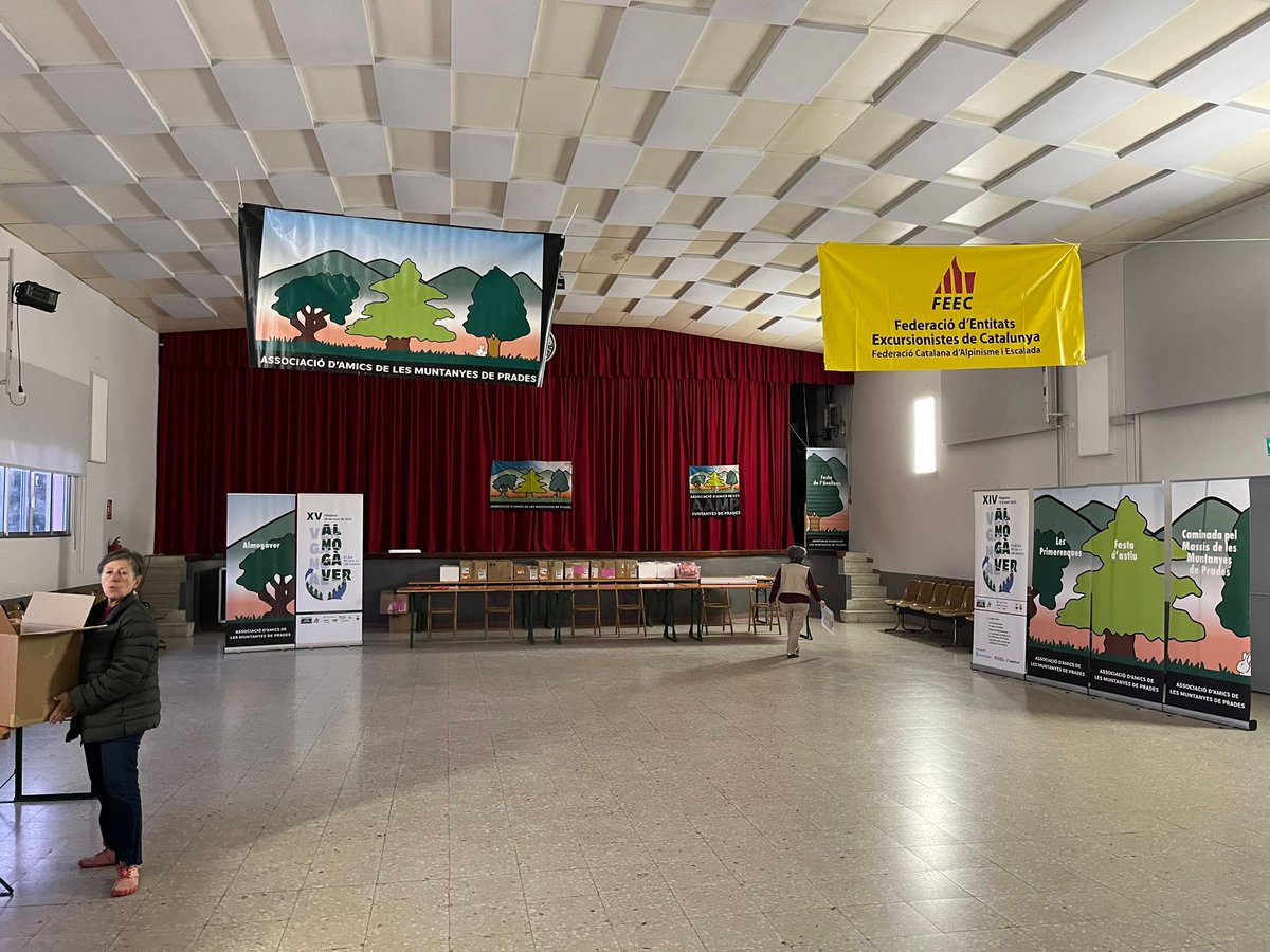 aamp.cat tweet media