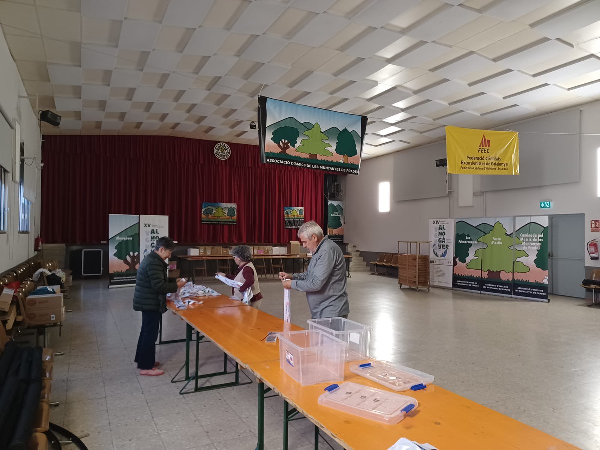 aamp.cat tweet media