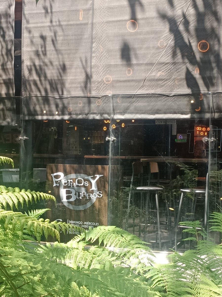 Lupis&Roger tweet media