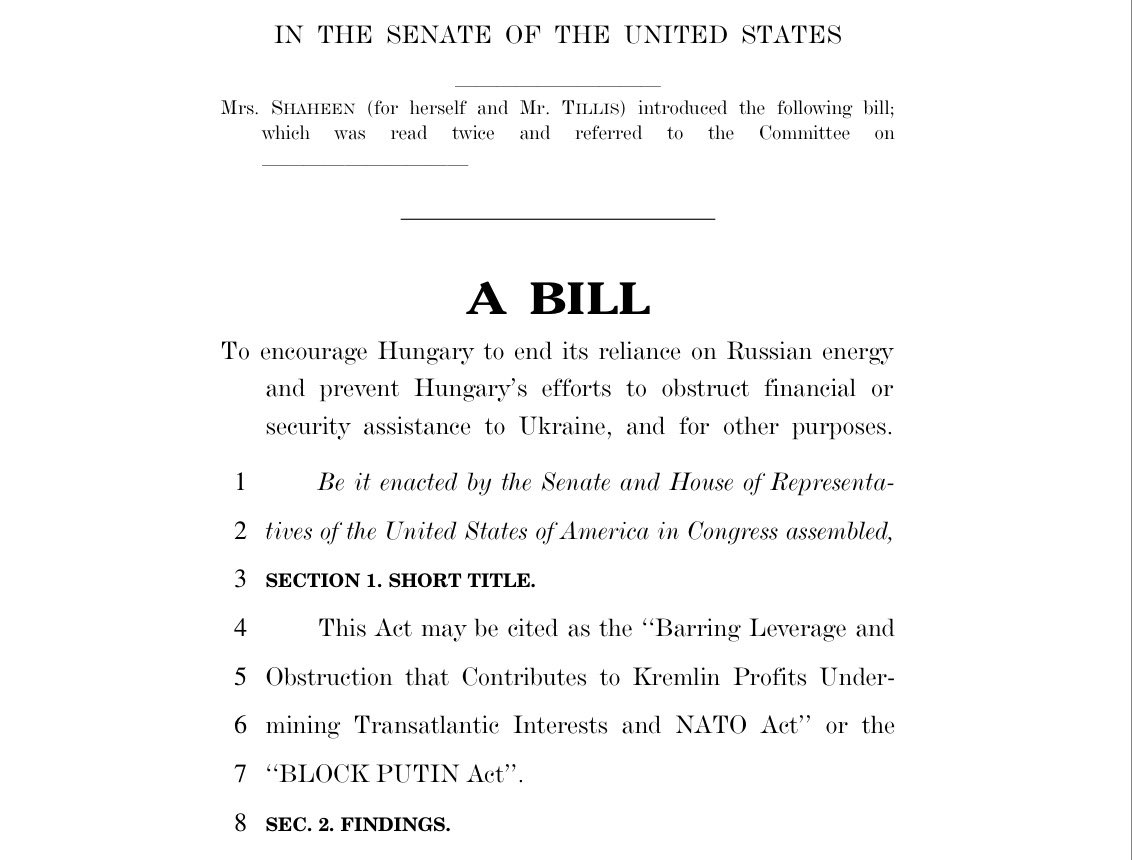 Alex Raufoglu tweet media