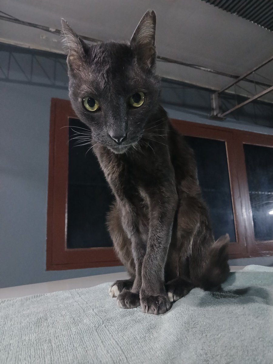 Hideki Takasaki tweet media