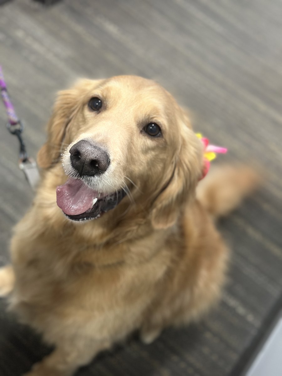 Hancock Square Apts tweet media