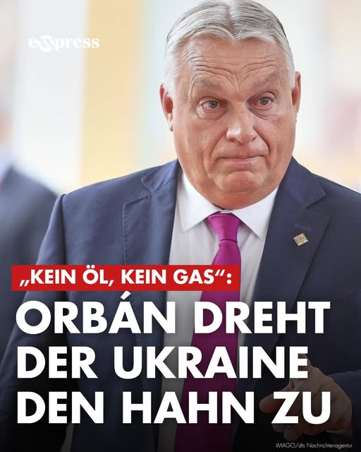 michael baumeister tweet media