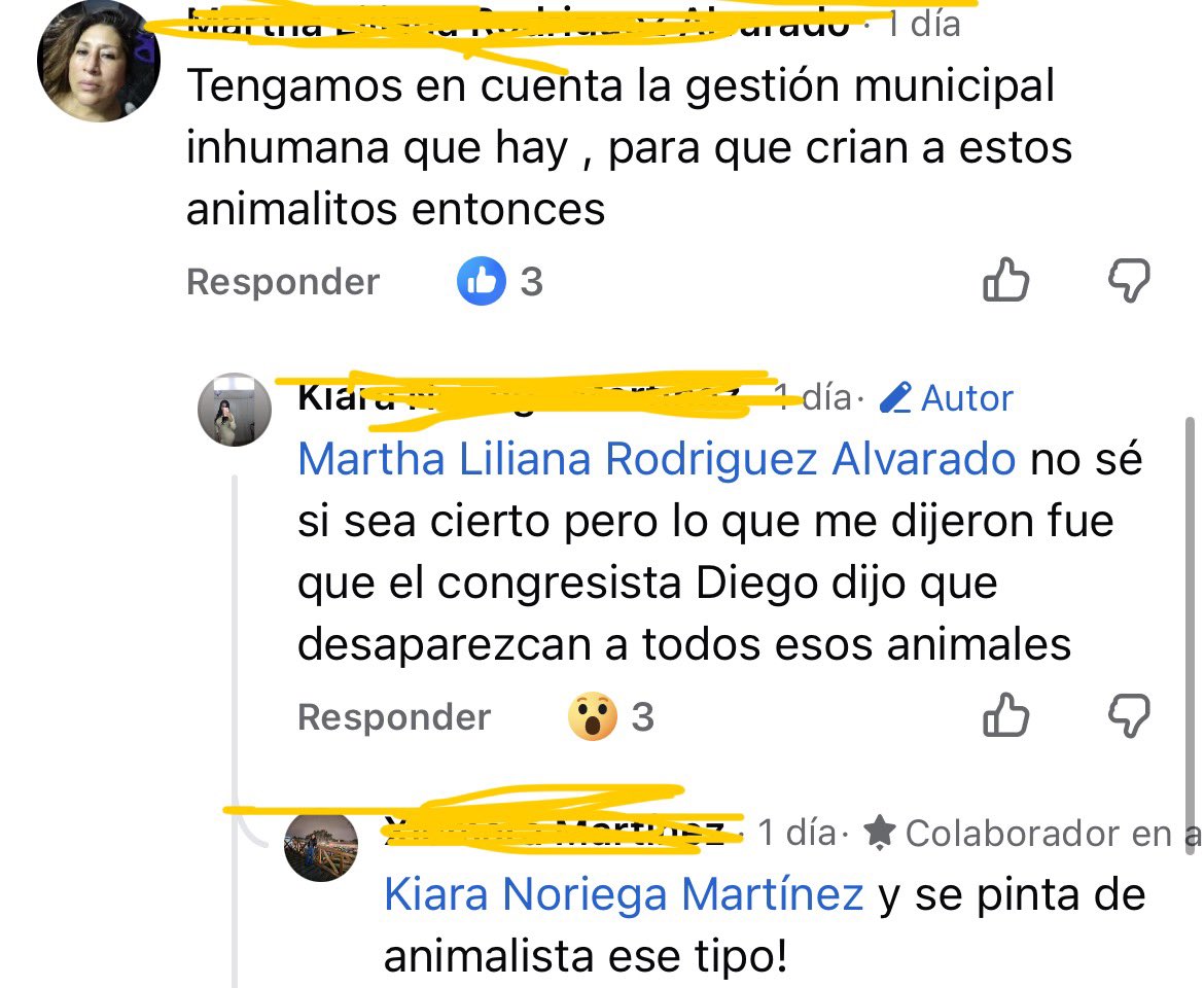 S🇵🇪 tweet media