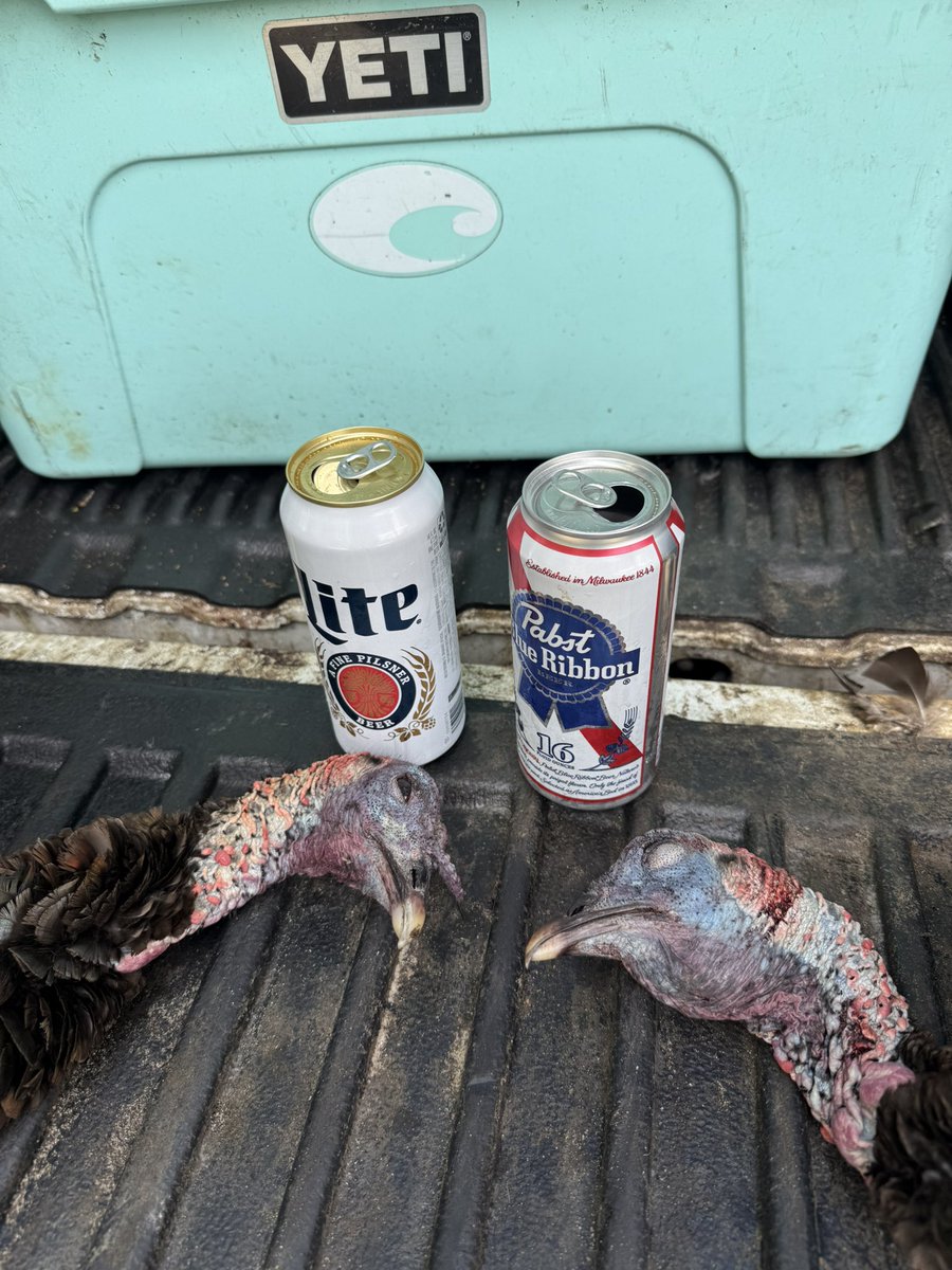 Bruce Mitchell tweet media