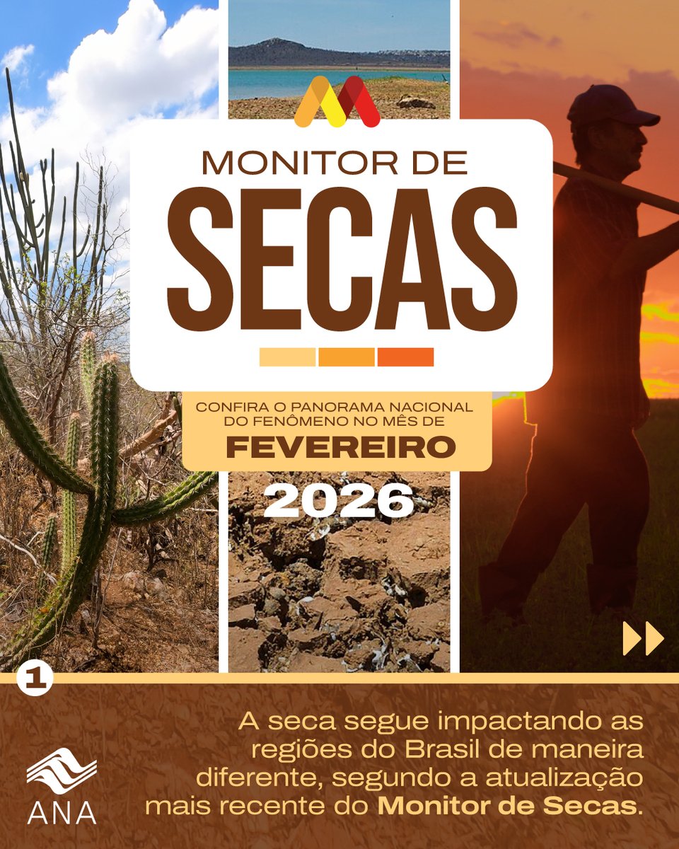 ANA Oficial tweet media