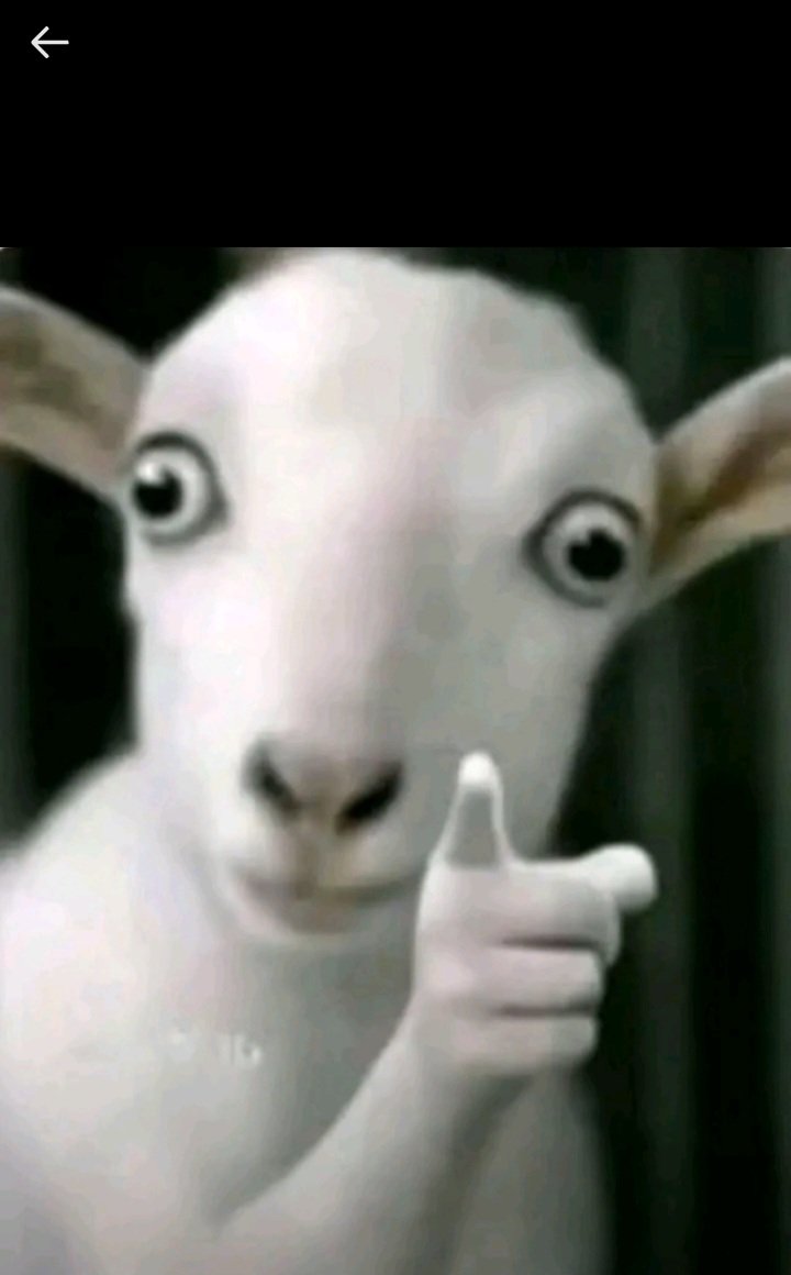 Cruz d bahd guy tweet media