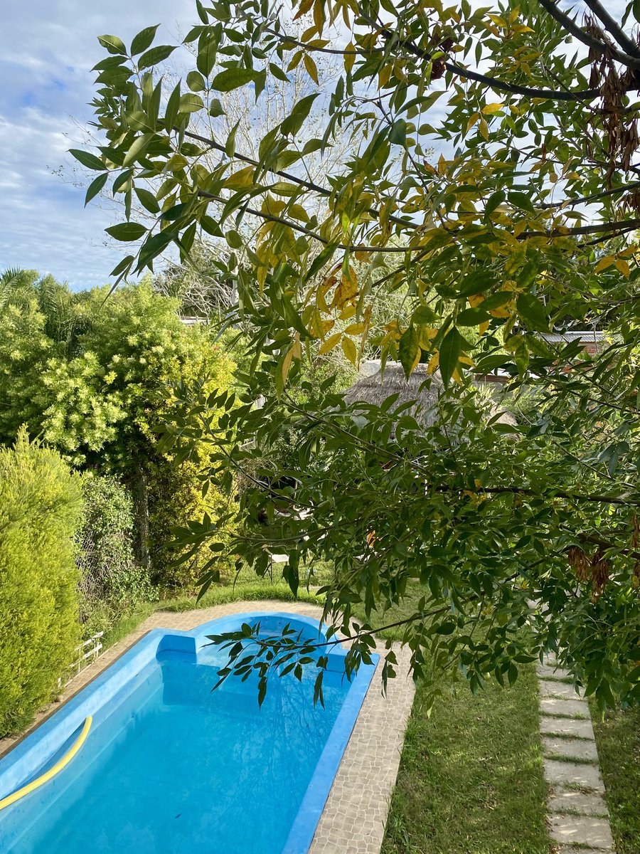 rubenbarcena's tweet image. A favor de trabajar desde casa. Además de la comodidad es foco y calidad de vida mal! Me voy a tomar un café #Homeoffice #LaPlata