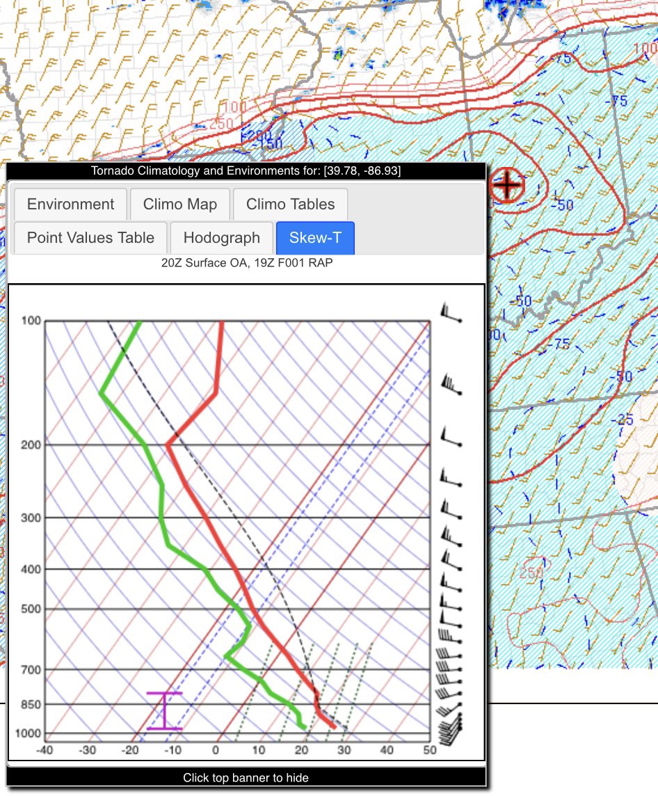 Carmen Palermo tweet media