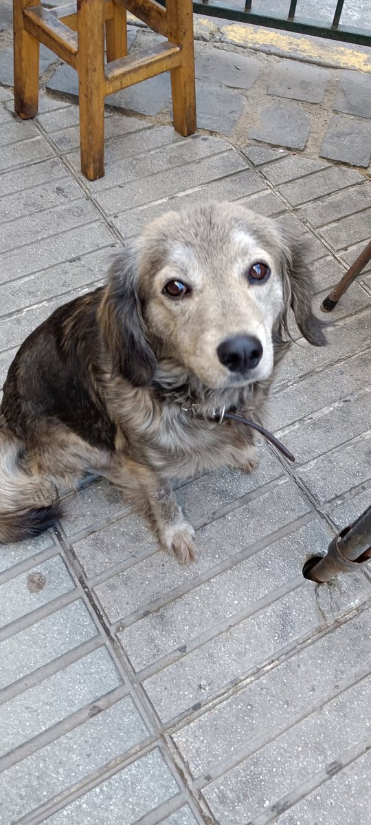 Enrique Fernandez (No tengo presidente) tweet media