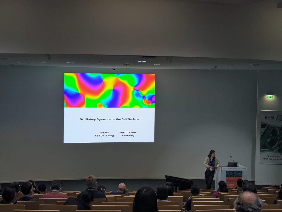 Shwdey's tweet photo. @EMBLEvents @shaon_chak @NCBS_Bangalore @MathSMaret @imperialcollege @mor_nitzan @MotiFridman @oritpeleg @CUBoulder @whoisyoo @mpi_ie @AnzyMiller @OfficialUoM @WUMIN_LAB from @YaleCellBio explored oscillatory dynamics on the cell surface, highlighting the limitations of simple feedback loops in explaining complex biological behavior. @EMBLEvents #EESBioOsc https://t.co/PZPX84C4tb