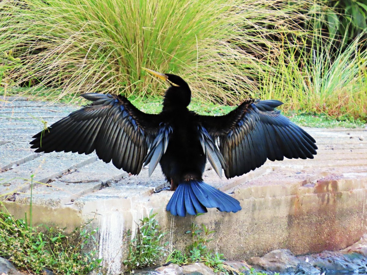 Tranquility Found tweet media