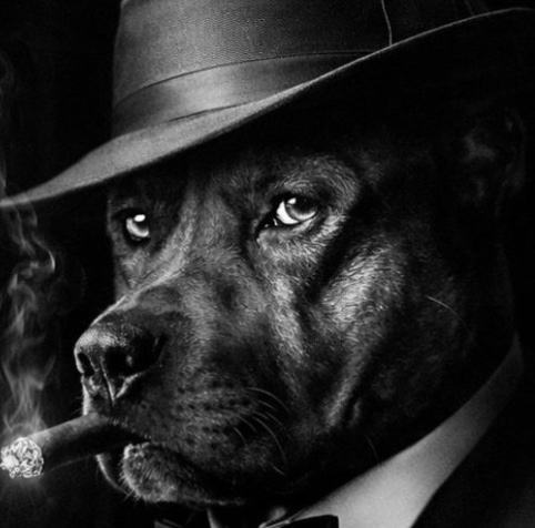 VladySlave 🍜 tweet media