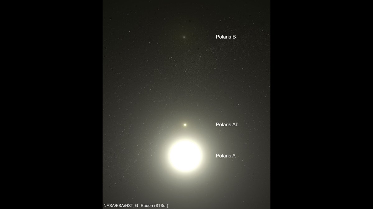 Encyclopaedia Britannica tweet media