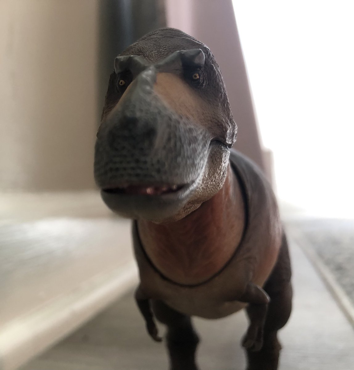 Giga_Rex050216|Animation Fan|MultiFandom Guy| tweet media