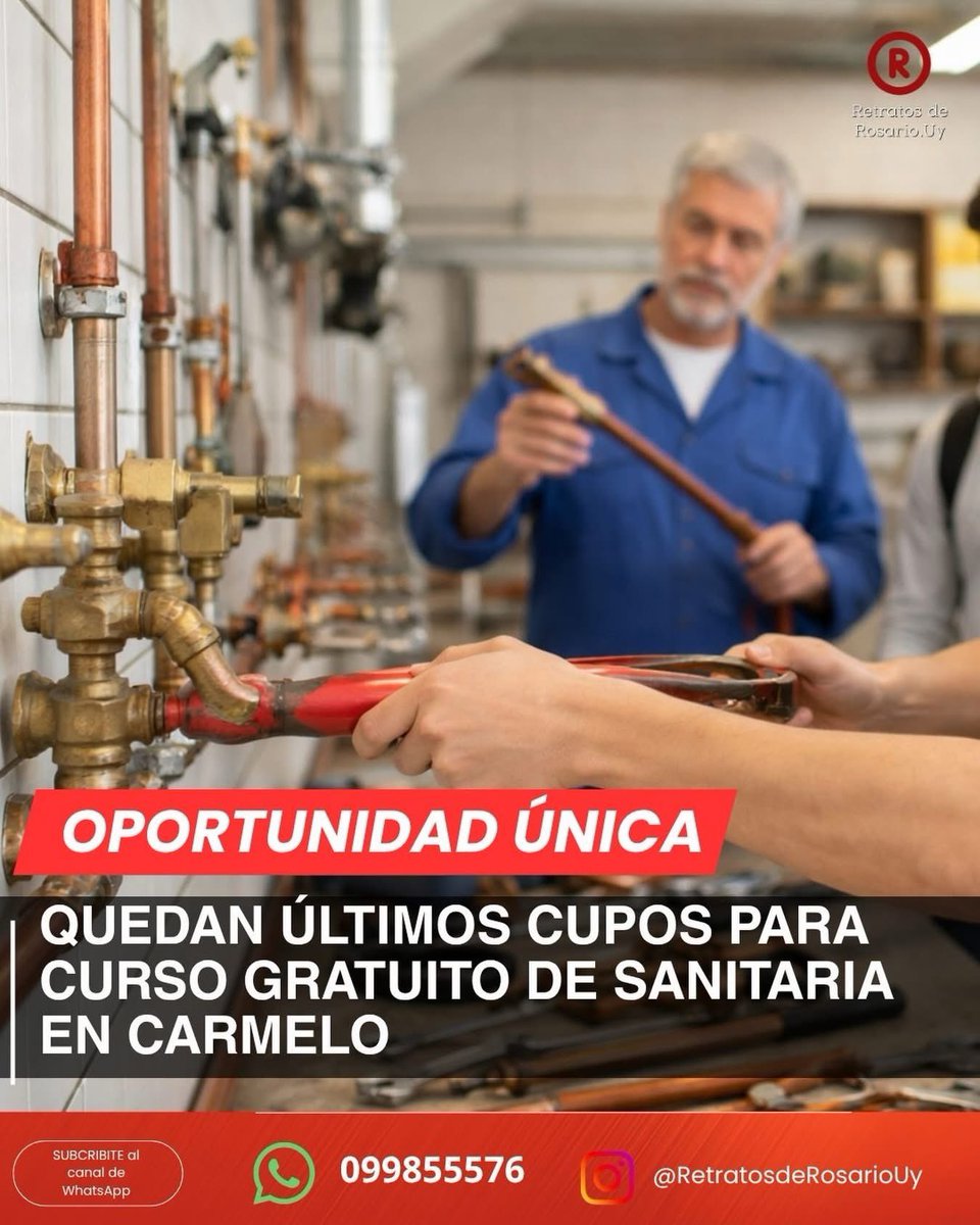 Ricardo Planchón Geymonat tweet media