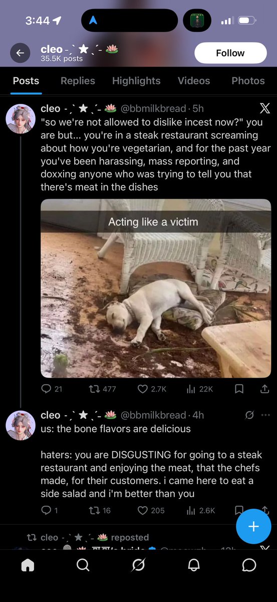 E D E N ˚⊱🪷⊰˚ Ɩơɬųʂ ცąცყ tweet media