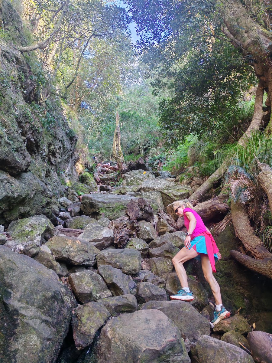 RunCapeTown's tweet photo. Epic morning on our XXL trailrunning route with this super-strong, speedy 200-miler Runner! Thank you so much for running with us, a treat to enjoy this route with you! #trailrunning #runtablemountain #runtourguide 😊 ❤️ @CityofCT @TableMountainNP @GetOutsideAdv @CTthismonth https://t.co/EOHGgR7mRE