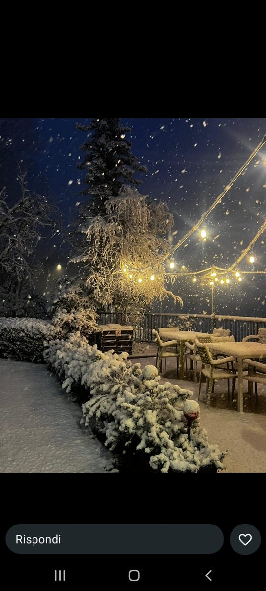 Պario  Պoroni tweet media