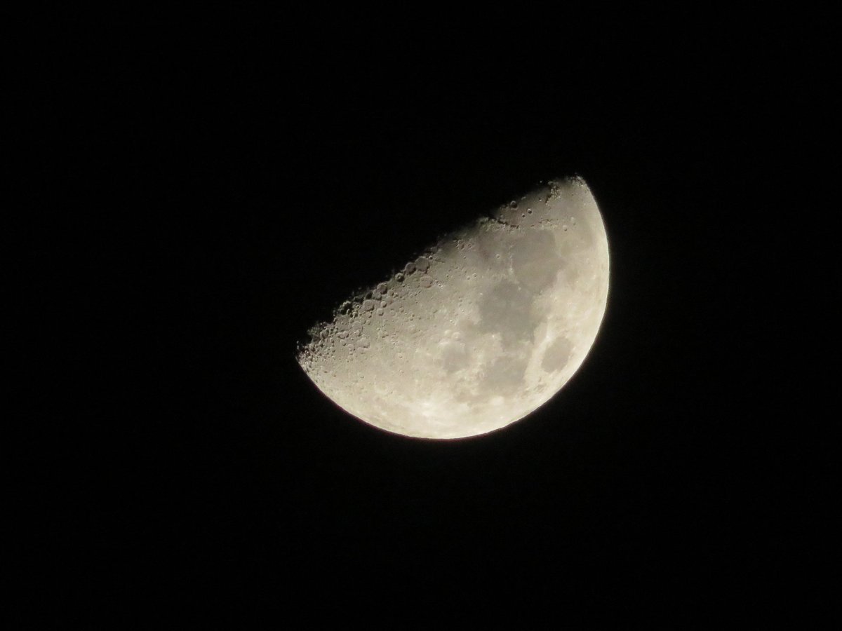 たけひで tweet media