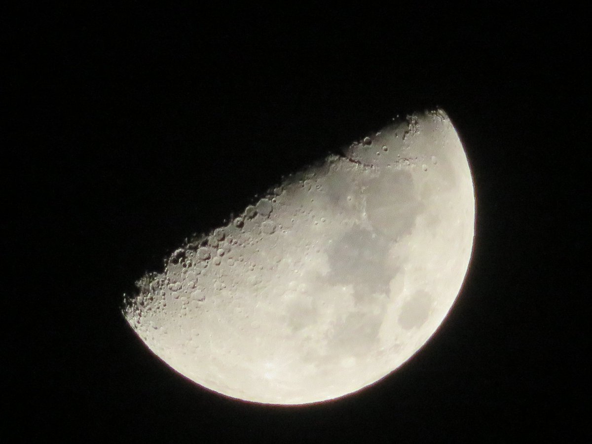 たけひで tweet media