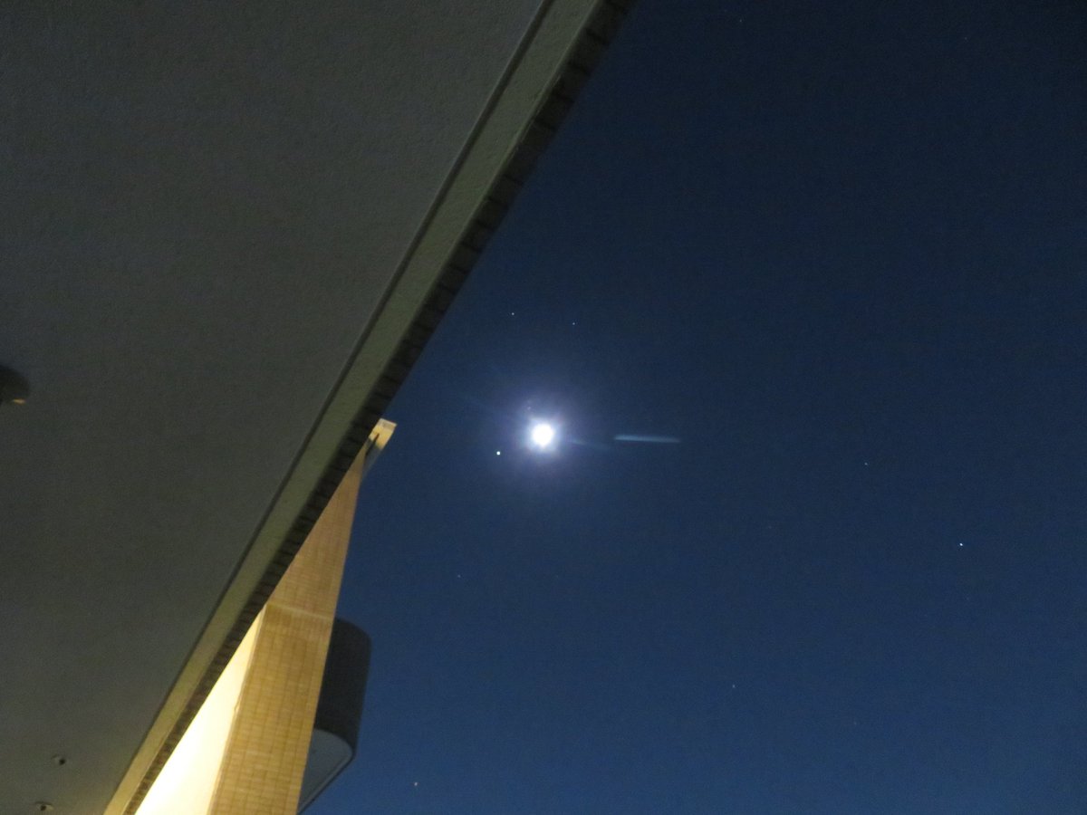 たけひで tweet media