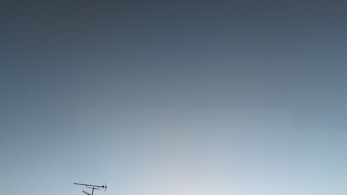 ナシルーラ_WNI tweet media