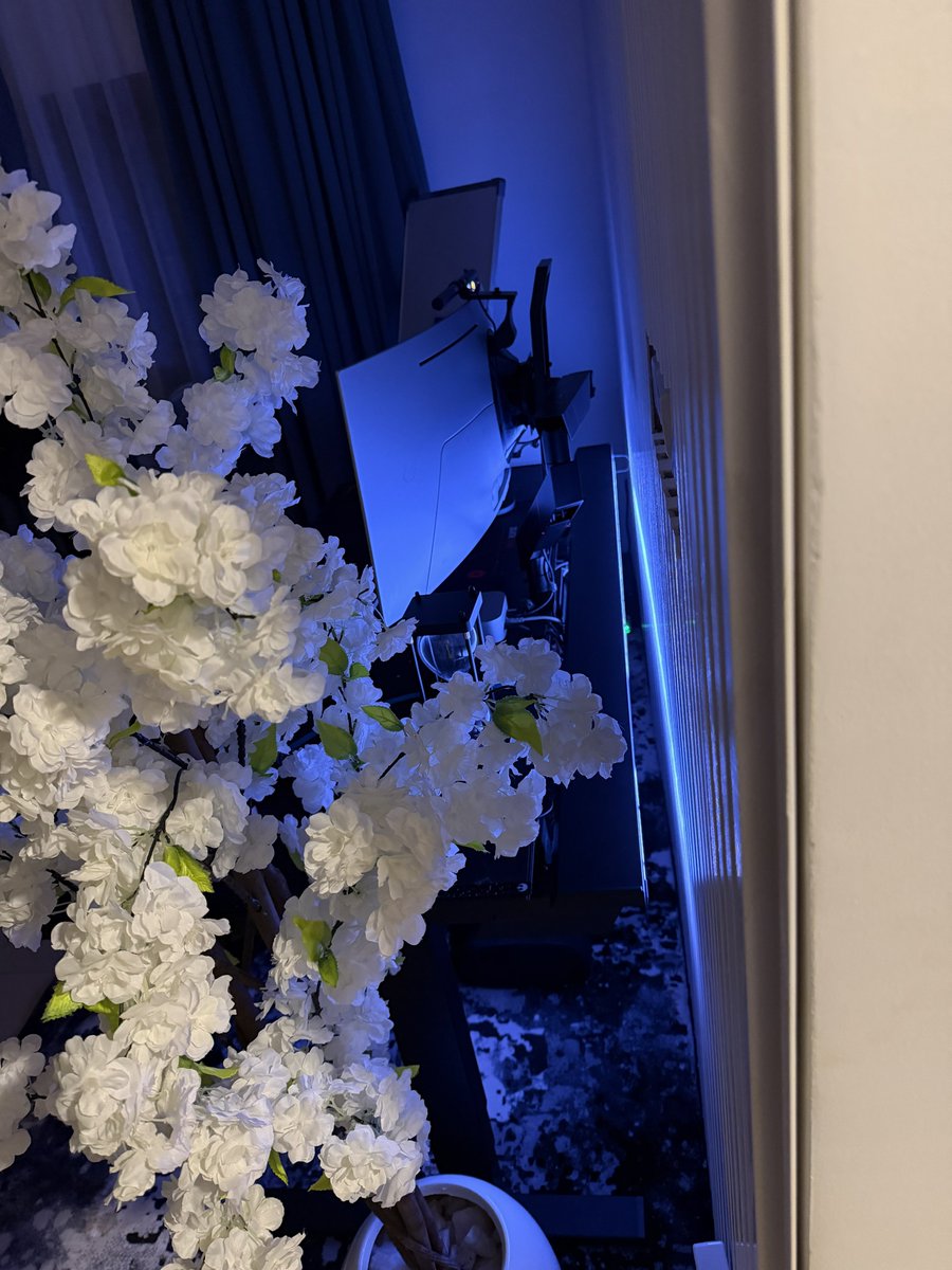 Techriz💯📈 tweet media