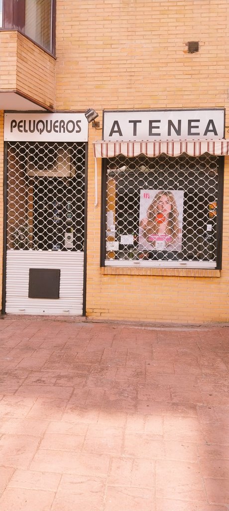 LauriVox33 tweet media