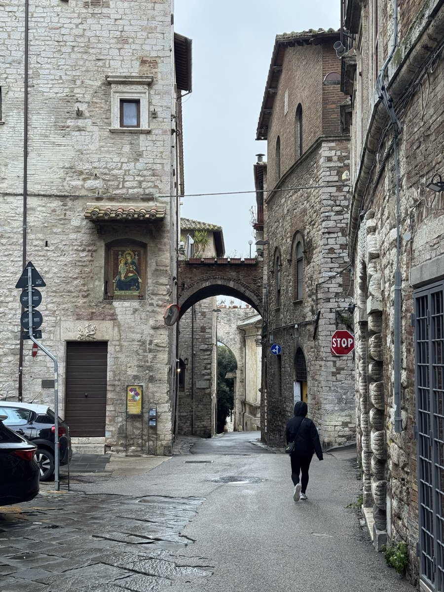 Nicholas Chopper tweet media