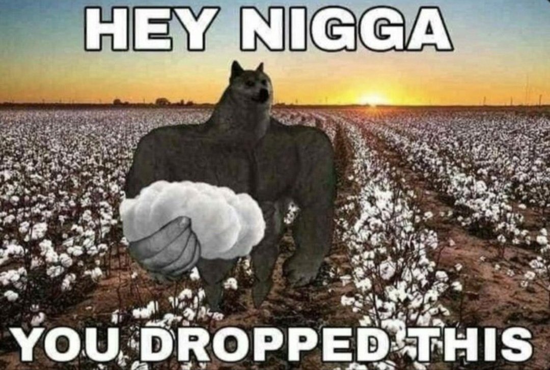 BROWNCHUD tweet media