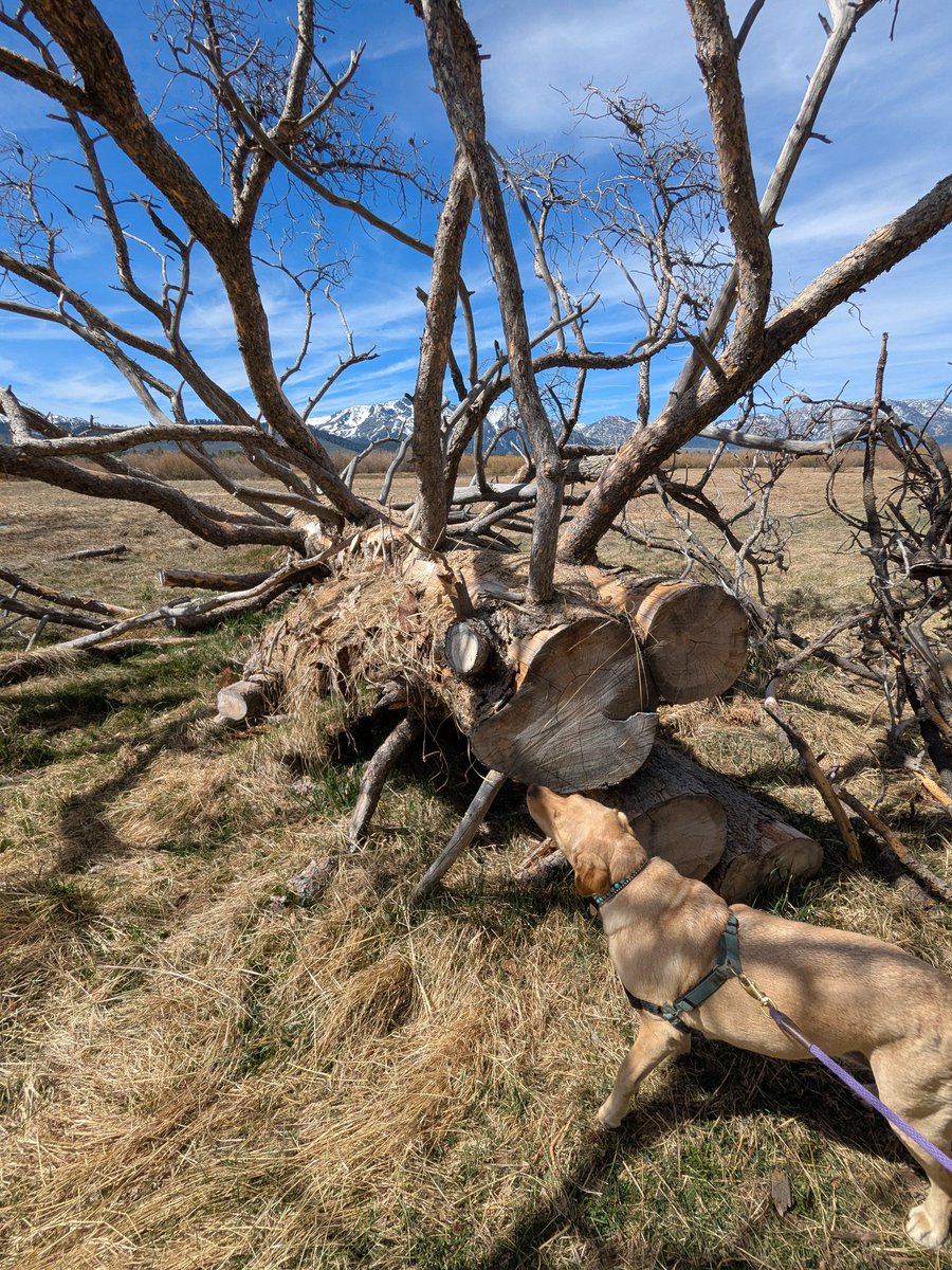 RockyRunyonRacing tweet media