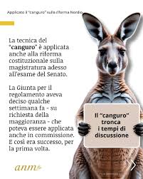 🇮🇹 Senatore Francesca  #facciamorete 🌐 tweet media