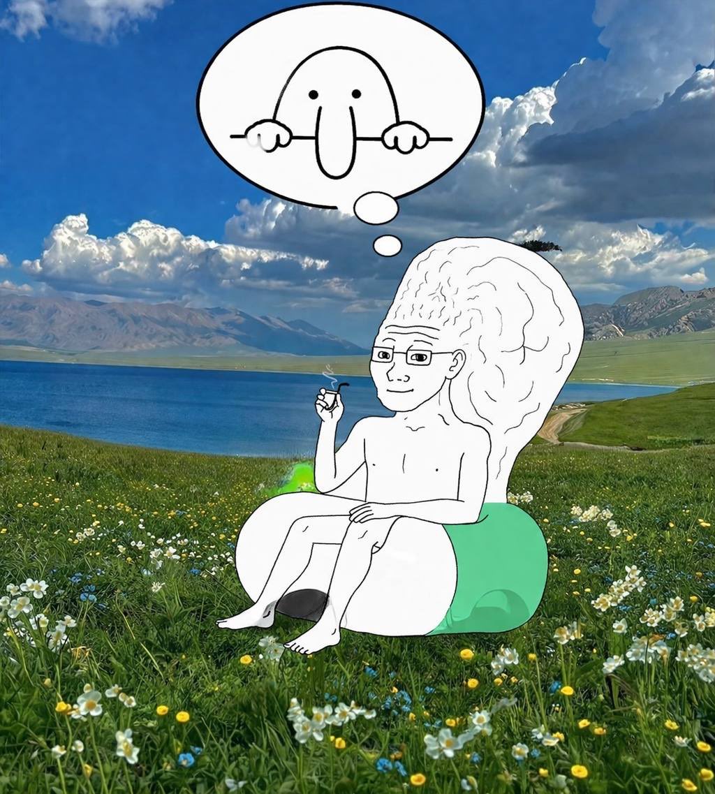 FaaNky 🇦🇹 tweet media