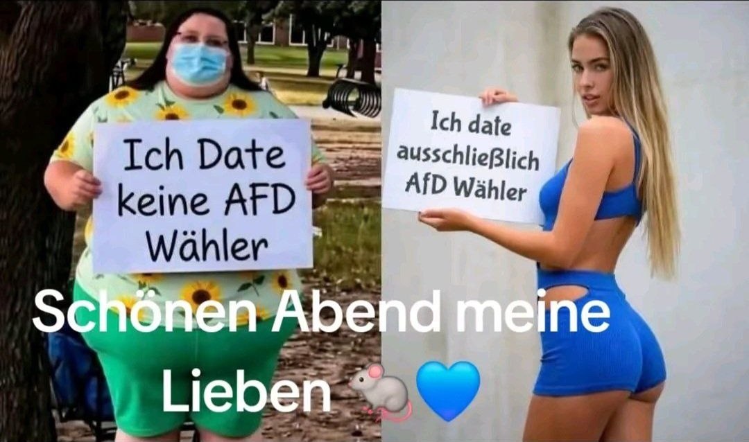 MP@Per_Son tweet media