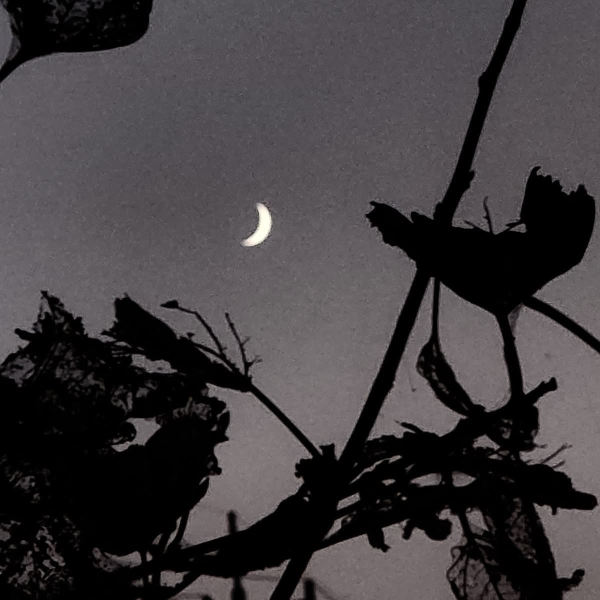 eli💕#findingdeobis🫶 tweet media