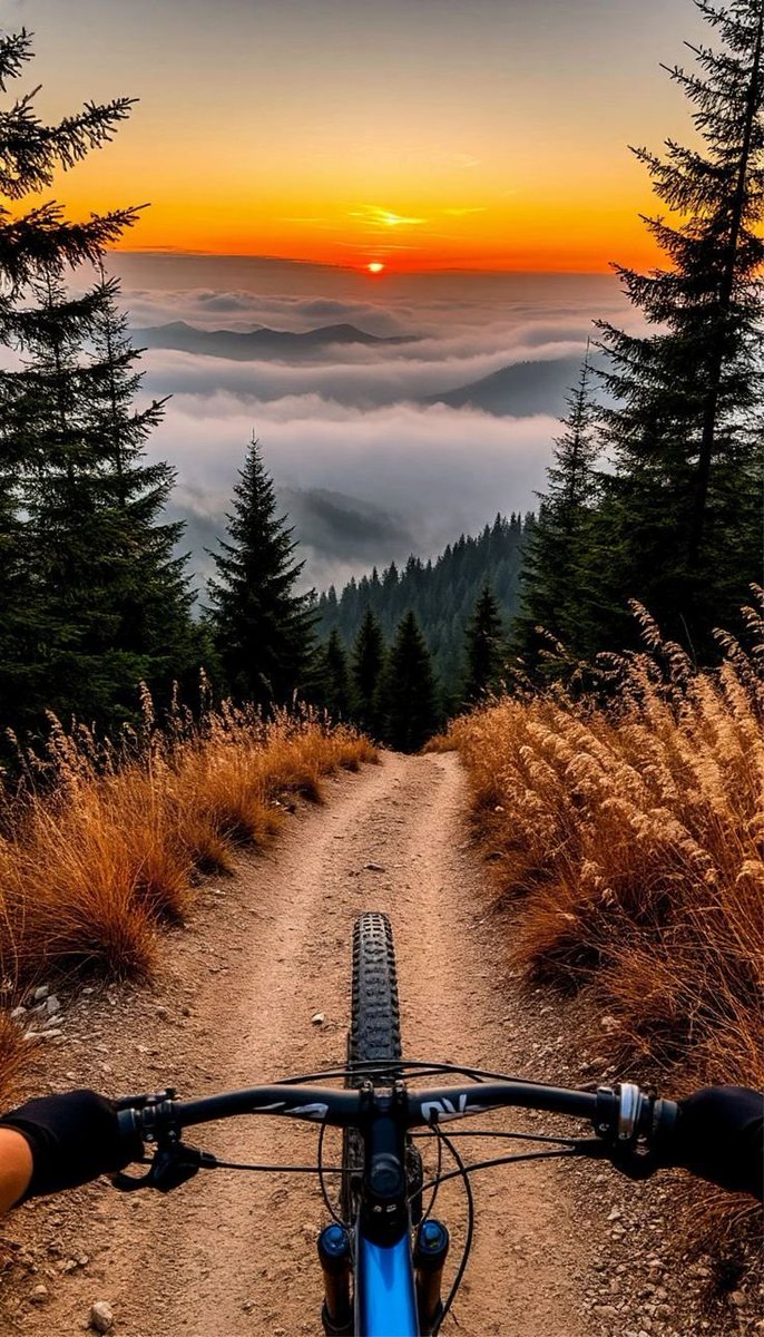 Bab_foll's tweet photo. Good evening https://t.co/JTIxwdtovT