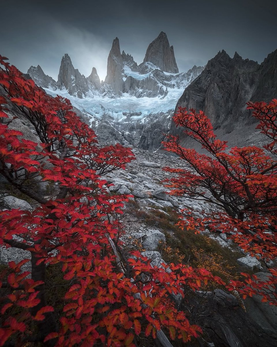 Argentina Patagonia tweet media