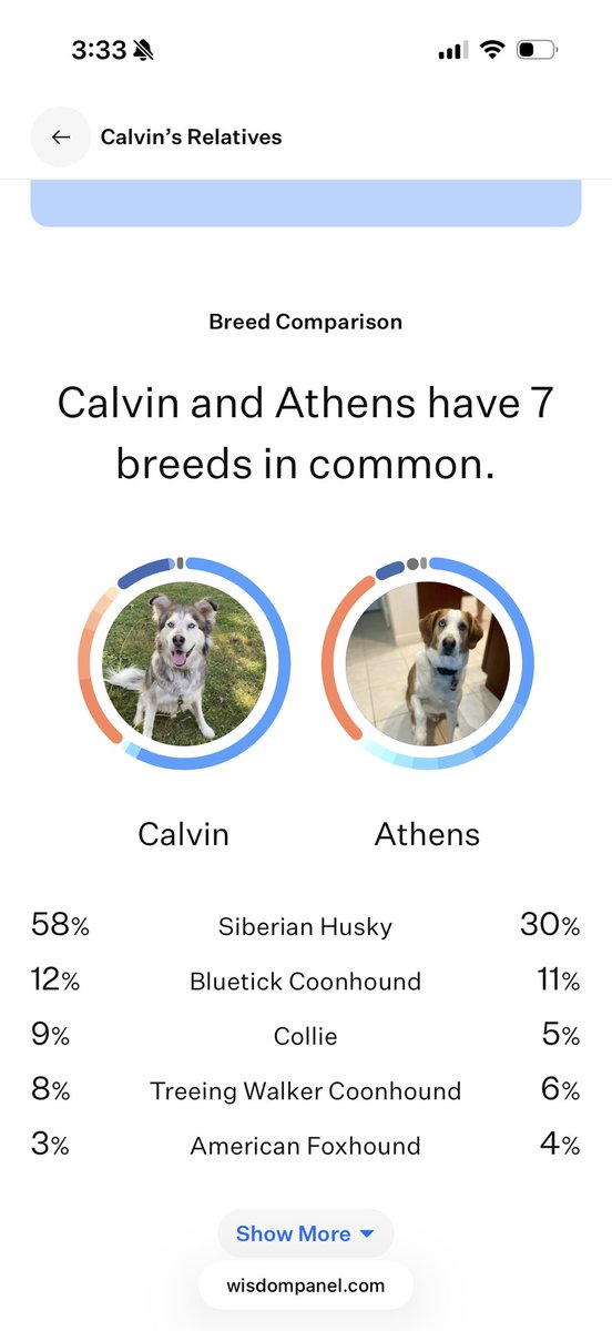mt10eer's tweet photo. Found Calvin’s dad thanks to @WisdomPanel 🐾🦴 https://t.co/LOhfFBadLc