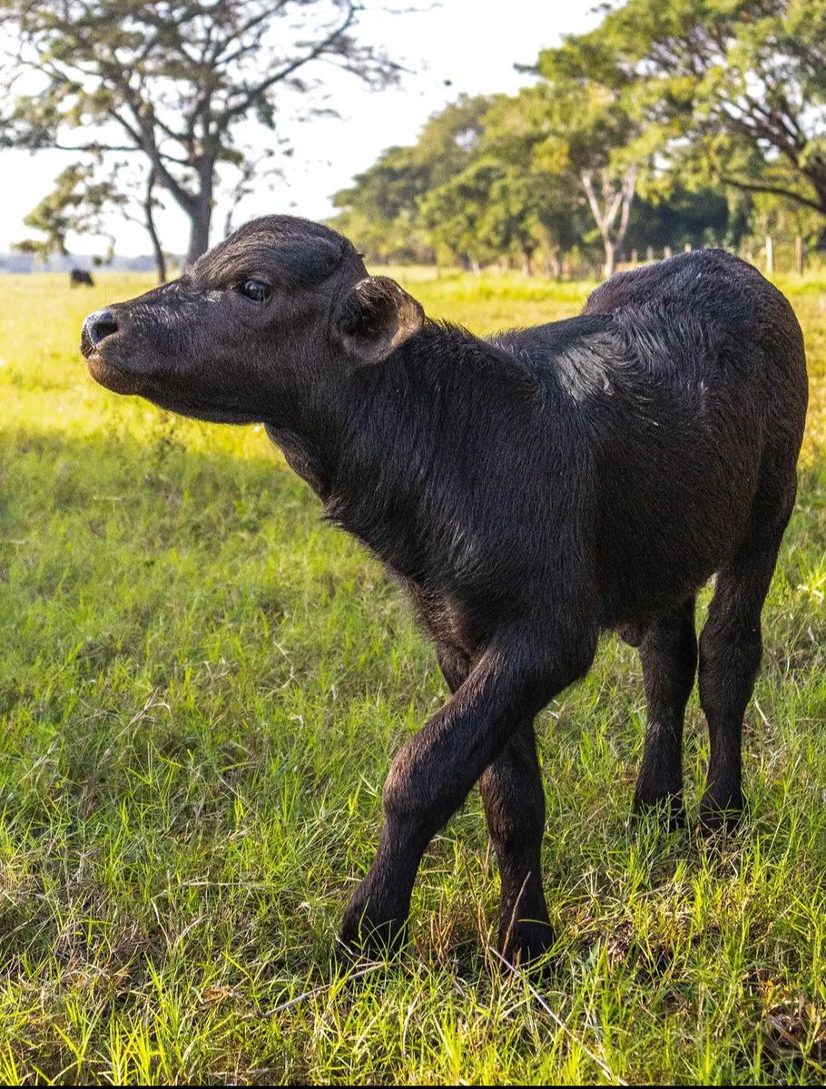 Proyecto Local Fundacion Magdalena tweet media
